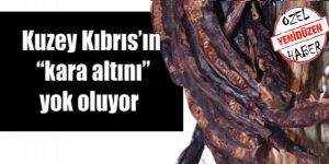 Harnupta tehlike çanları!