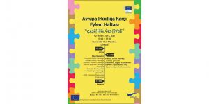 Irkçılığa karşı “Çeşitlilik Festivali”