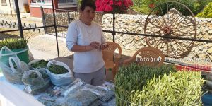 Akdeniz, 6. Ayrelli Festivali ile şenlendi