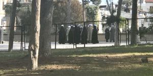 Özyiğit: Geniş çaplı araştırma şart