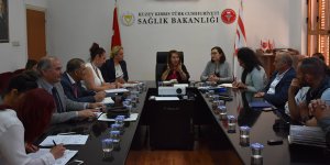 Sağlık Bakanlığı'nda 'sivrisinek' toplantısı