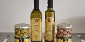 Baba hatırasına hayat veriyorlar: Çınar Ltd.