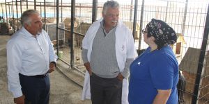 İskele'deki barınak karantinaya alındı