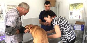 Salgın yayılıyor!