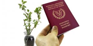 Ağaç ve bitkilere “pasaport” uygulaması