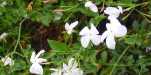 Şiirlerle büyüsün çocuklar