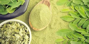 Moringa çayının 10 Faydası