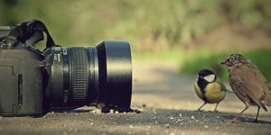 Başvurular 8 Mayıs'a kadar yapılabilecek