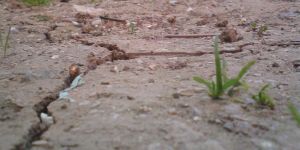 Kuraklık tazminatları ödenmeye başladı