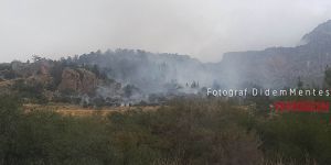 Güngör'de yangın!