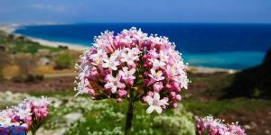 Şiirlerle büyüsün çocuklar