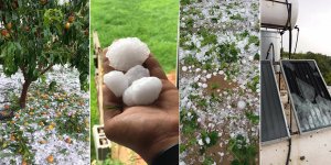 Lefke ve Gemikonağı'nın zararı büyük