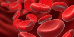 ‘Kıbrıslıların %12’si taşıyıcı’