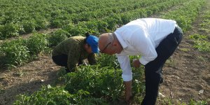 İskele’de Fikret Hoca rüzgarı:“Kısır döngüyü kıracağız, İskele’yi birlikte yöneteceğiz!”