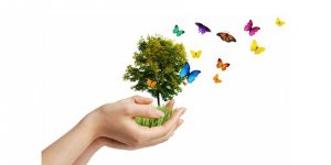 Bijolojik Çeşitlilik Günü'nde etkinlikler düzenlencek