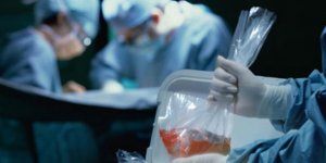 511 kişi organlarını bağışladı