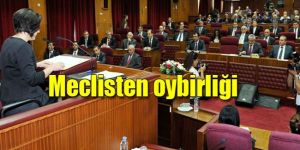 Polis terfileri mercek altında