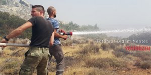 Alevkayası’nda 100 dönüm kül oldu!