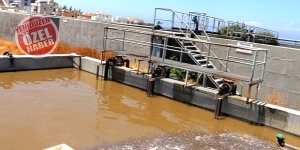 Günde 4 bin metreküp atık su denize pompalanıyor