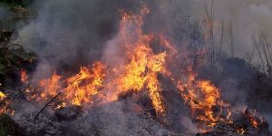  Değirmenlik ve Yeşilırmak’ta yangın