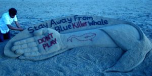 Mavi Balina - Whale Blue