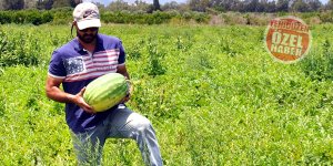 “Artık üretmekten korkuyoruz”