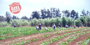 Doğancı’ya 5 yılda  42 kuyu izni