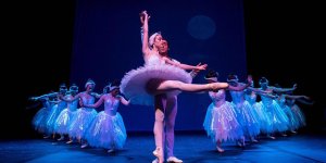 YDÜ’de Kuğularla Dans gösterisi