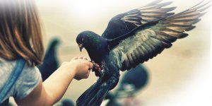 Açlık Ordusu Yürüyor