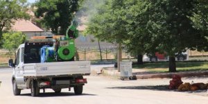 Sağlık Bakanlığı, "İlaçlama yerine Kamboçia Balığı"