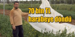 Fırtına yerle bir etti 