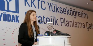 KKTC'de üniversite sayısı 29