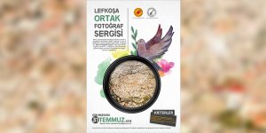 Gazeteciler için iki toplumlu fotoğraf yarışması