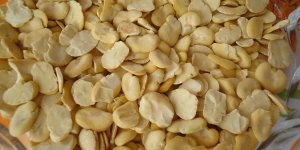 Sağlık Bakanlığı, Pinguin marka bakla satışın satışını durdurdu