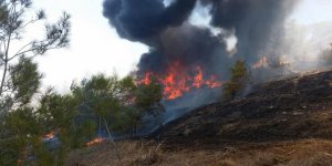 Geçitköy'de yangın