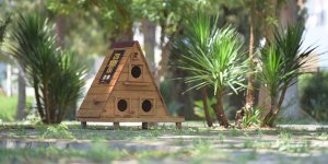 Lefkoşa'ya “Kedi Evleri” yerleştiriliyor