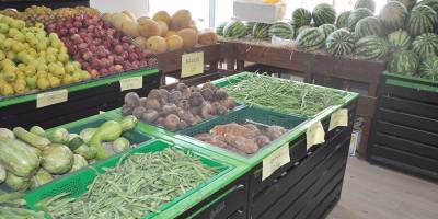 Güneyde meyve ve sebze fiyatlarında artış