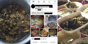 Meyhanede ova tavşanı,  işletmeciye yasal işlem!