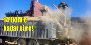 Mağusa Limanı yine toz altında!