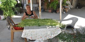 Sabahın serininde…