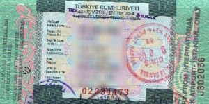 Vizede diplomatik kriz