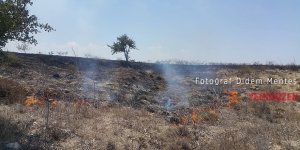 400 DÖNÜM KÜL OLDU