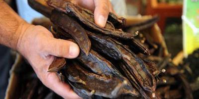 Binboğa, harnup taban fiyatı için ilk açıklanan rakamın 18 TL/kg olduğunu duyurdu