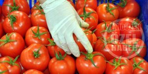 DOMATESTE UÇURUM FARK