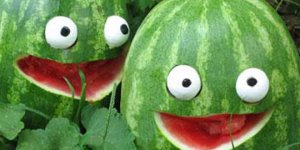 5. Doğancı Karpuz Festivali başlıyor