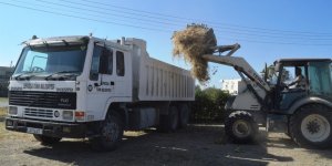 LTB'DEN TEMİZLİK OPERASYONU