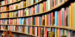 Kütüphaneyi yılanlar bastı