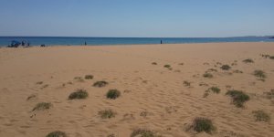 Altınkum sahili temizlendi