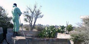 Clothianidin içeren ilaçlar yasaklandı