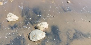 Alagadi'de petrol atığı değil, siyah kum